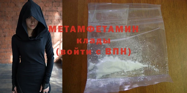 индика Нягань