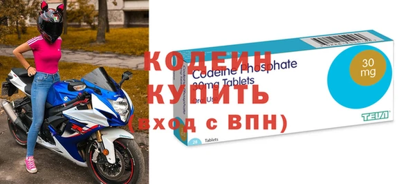 индика Нягань