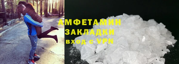 индика Нягань