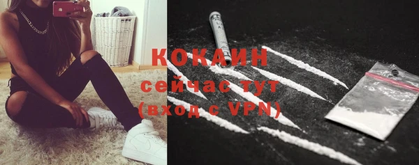 ПСИЛОЦИБИНОВЫЕ ГРИБЫ Няндома
