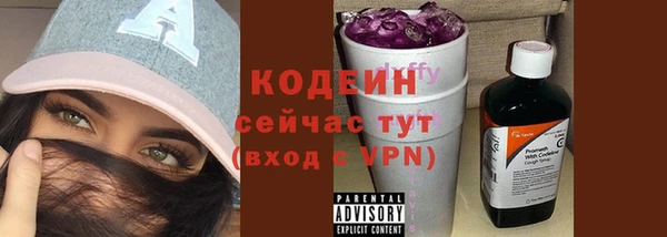индика Нягань
