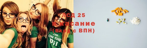 ПСИЛОЦИБИНОВЫЕ ГРИБЫ Няндома