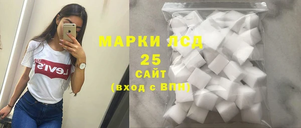 индика Нягань