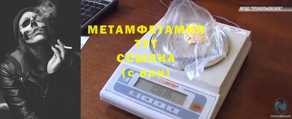 ПСИЛОЦИБИНОВЫЕ ГРИБЫ Няндома