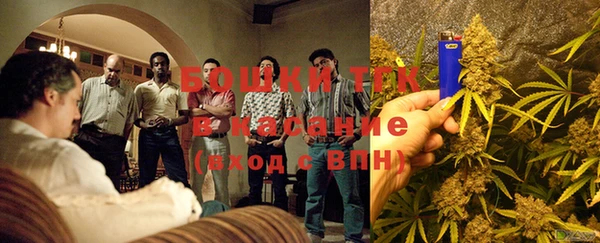 индика Нягань