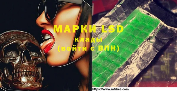 индика Нягань