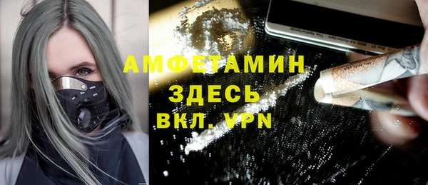 индика Нягань