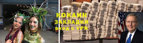 индика Нягань