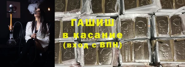 индика Нягань