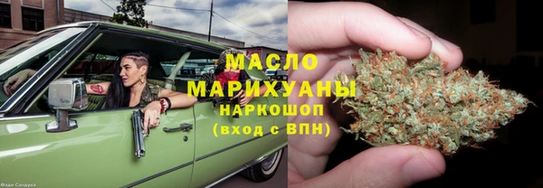 индика Нягань