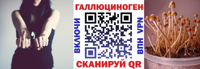 Галлюциногенные грибы ЛСД наркота blacksprut ссылка Пустошка